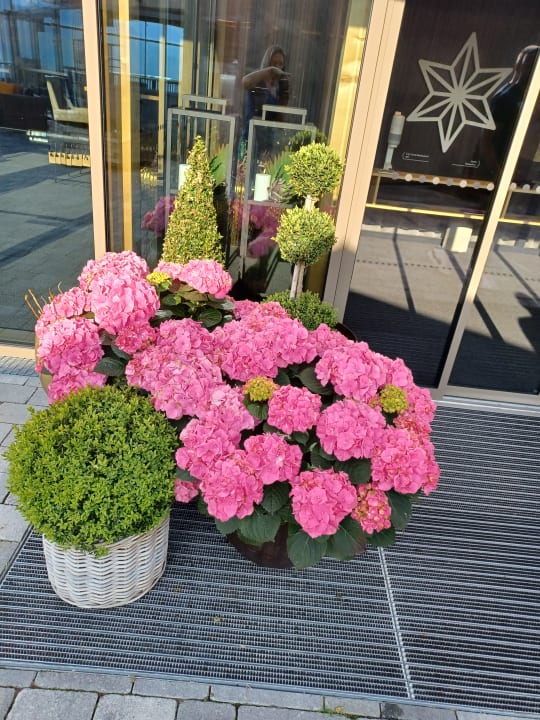 Sonstiges Hotel Alpenstern