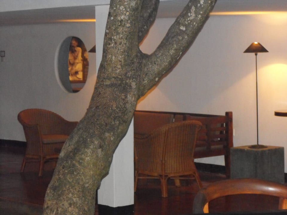 Avani Bentora Thaala Bentota