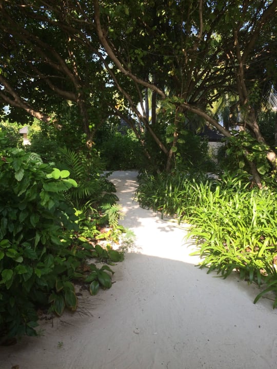 Summer Island Maldives Summer Island Maldives