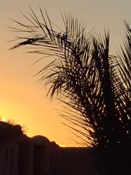 Ausblick Jaz Makadi Oasis Resort
