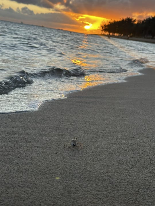 Strand Hotel Riu Turquoise