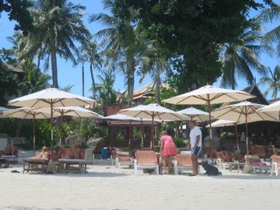 Hotelstrand Muang Samui Spa Resort