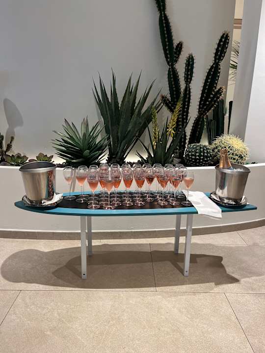 Gastro Iberostar Waves Gaviotas Park