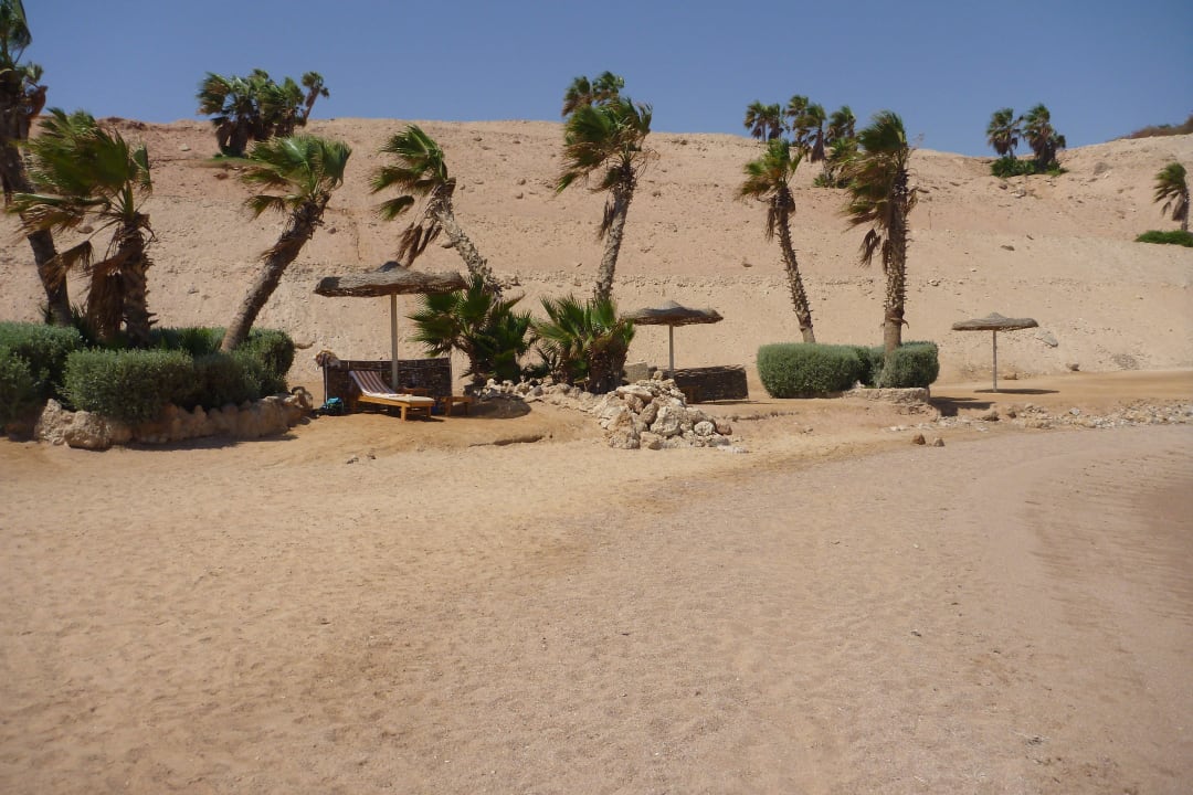 Citadel Azur Resort Pickalbatros Citadel Resort