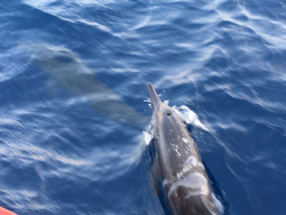 Sport & Freizeit Sun Siyam Olhuveli