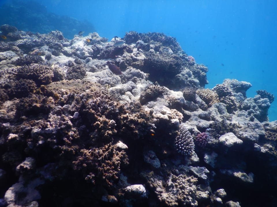 Strand Shams Alam Beach Resort