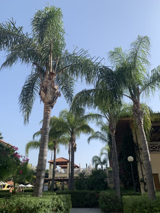 Gartenanlage TUI MAGIC LIFE Calabria