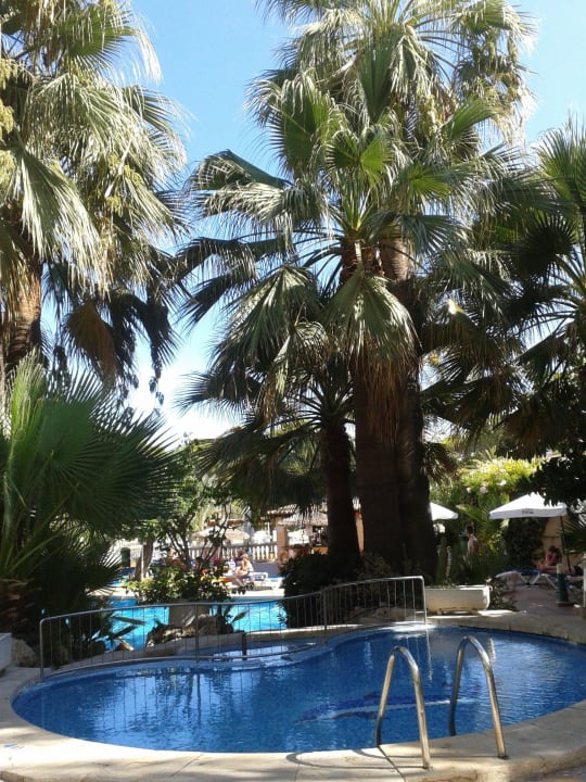 Babypool Reverence Mare - Adults only