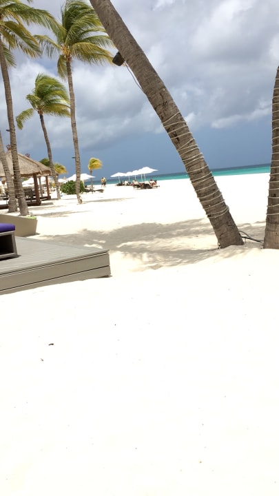 Strand Bucuti & Tara Beach Resort - Adults only