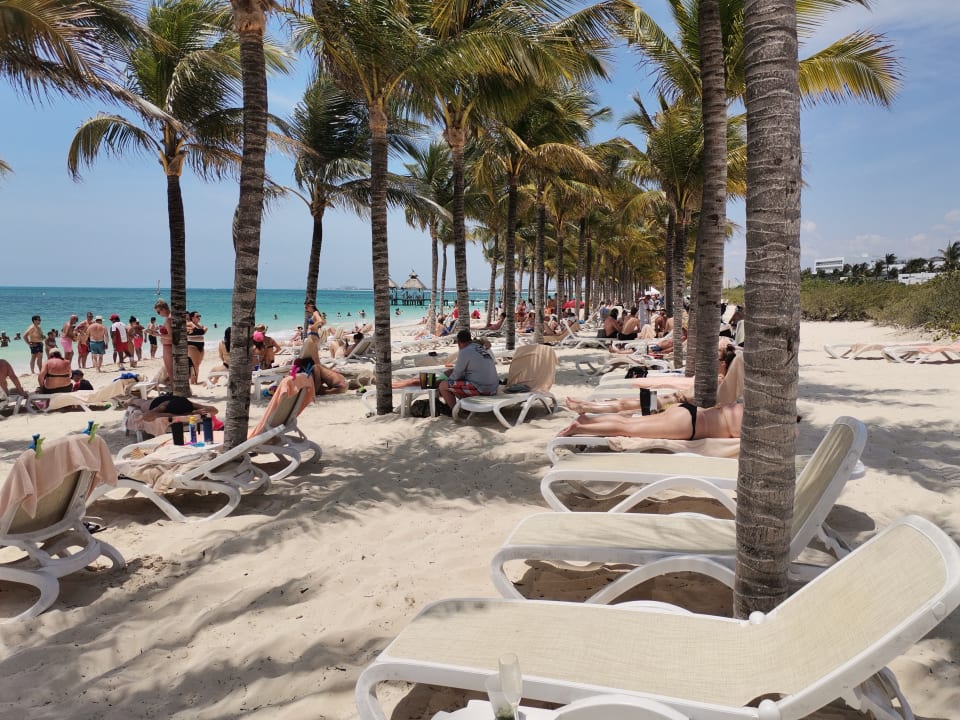 Strand Hotel Riu Dunamar