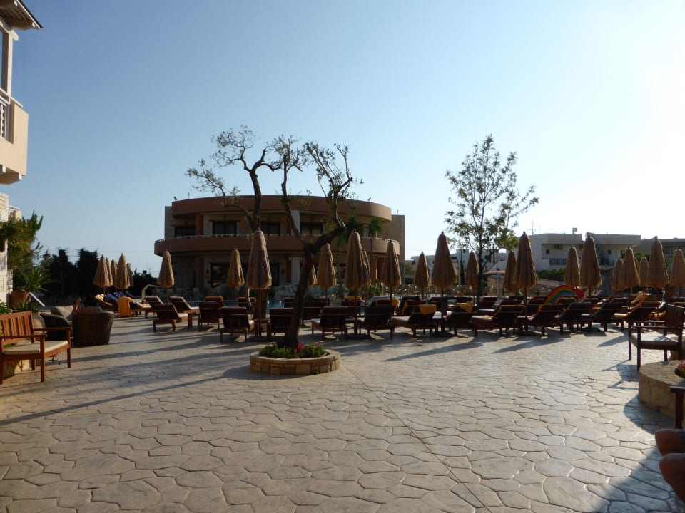 Immer gepflegt und sauber Cactus Royal