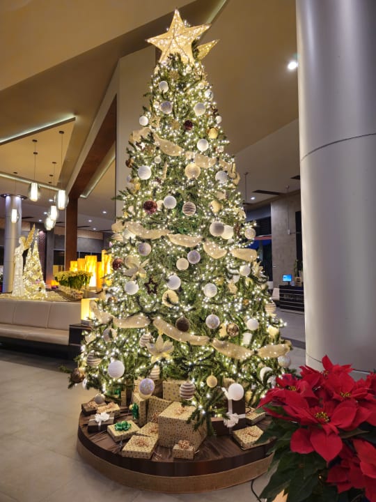 Sonstiges Hotel Riu Playacar