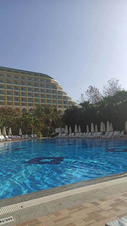 Pool Hotel Delphin Imperial