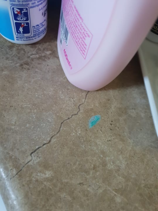 Zimmer Kamelya Aishen Club