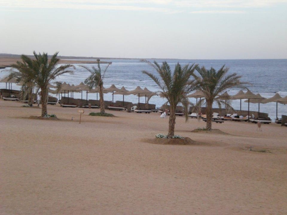 Strand und Liegen Three Corners Sea Beach Resort