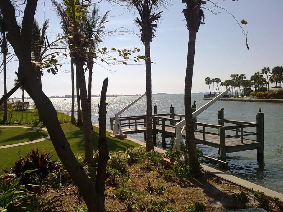 Blick am Hotelpool Hotel The Ritz-Carlton Sarasota