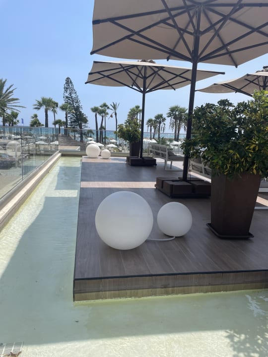 Gartenanlage The Golden Bay Beach Hotel