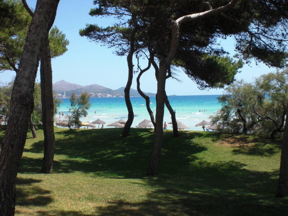 Pinien Iberostar Waves Playa de Muro