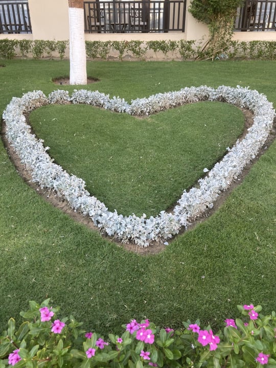 Gartenanlage Steigenberger Aqua Magic