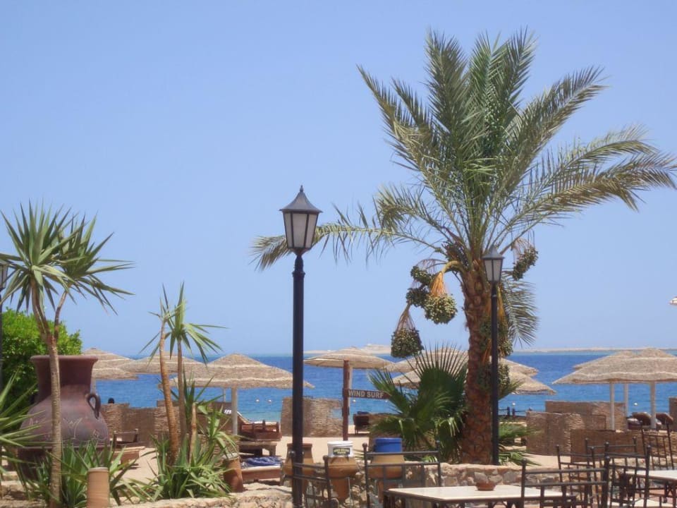 Eine Oase am Rande der Wüste Eagles Paradise Abu Soma