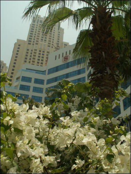 Widok hotelu z ogrodu Sheraton Jumeirah Beach Resort