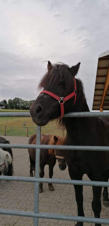 Sonstiges Landhaus Schulte-Göbel ... das Kinderparadies