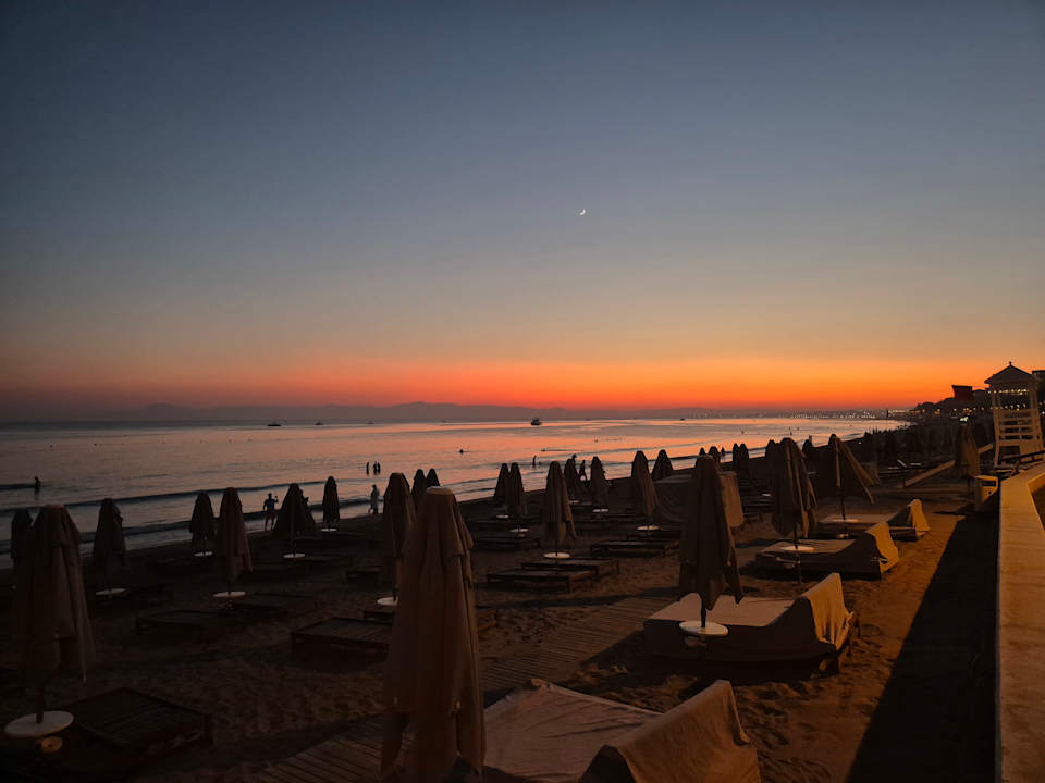 Strand Acanthus Cennet Barut Collection