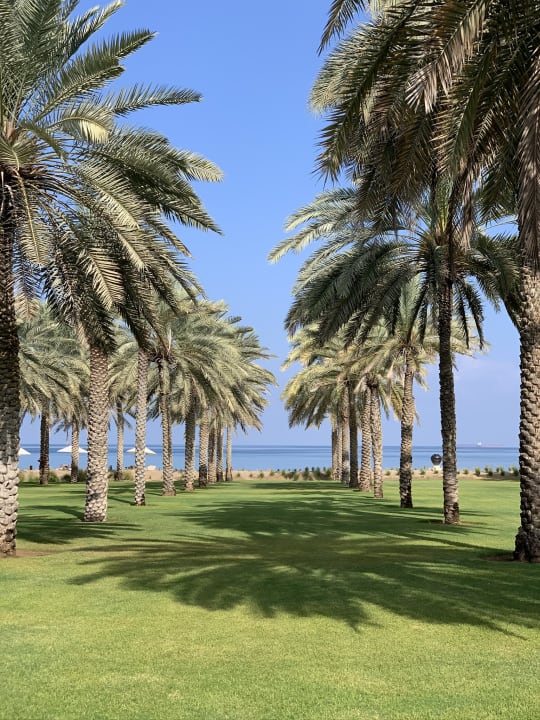 Garten The Chedi Muscat