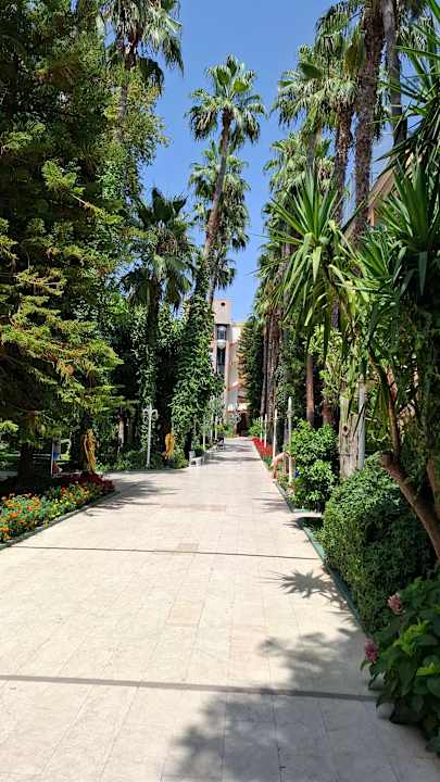 Gartenanlage Hotel Botanik Platinum