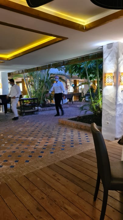 Gastro Dreams Jardín Tropical