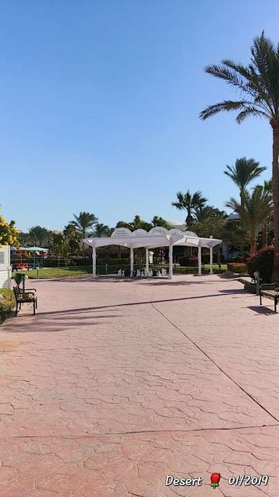 Gartenanlage Desert Rose