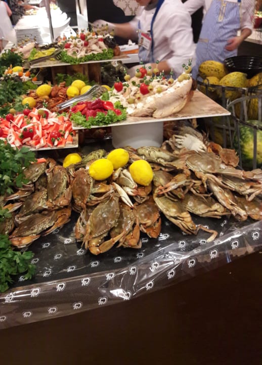 Gastro Arycanda Kirman Premium