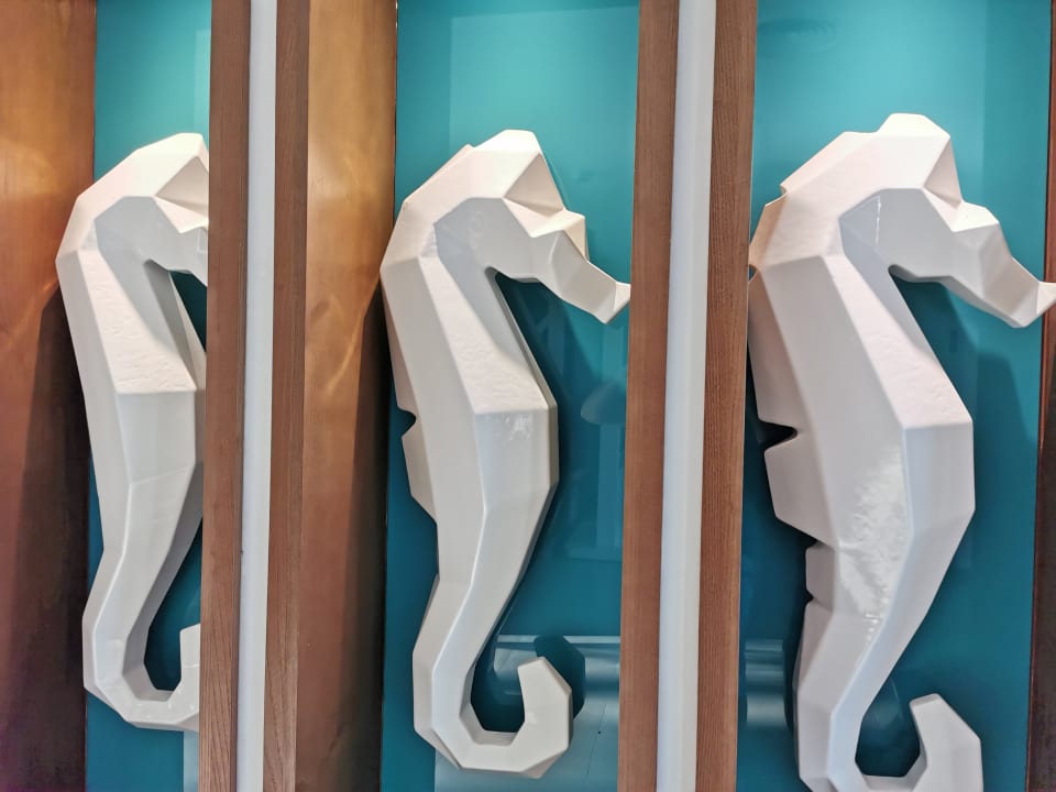 Sonstiges Hotel Riu San Francisco - Adults only