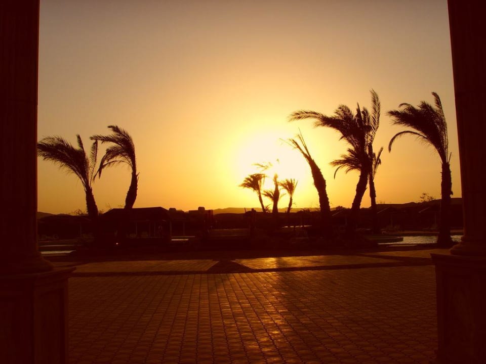 Zachód słońca -widok z ogrodu hotelowego Three Corners Equinox Beach Resort