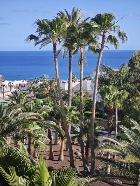 Ausblick allsun App.-Hotel Esquinzo Beach