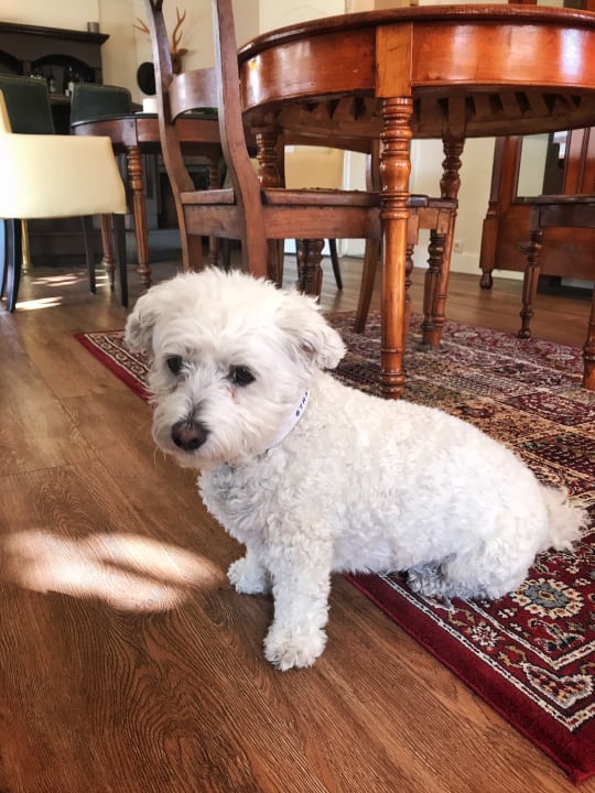 Sonstiges Hotel Nehalennia