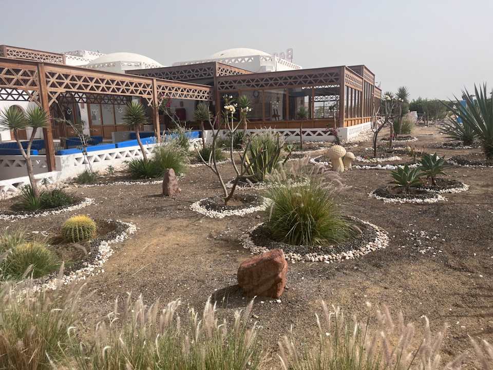 Gartenanlage Beach Safari Nubian Resort