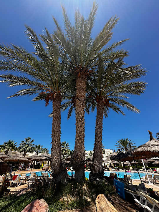 Gartenanlage TUI MAGIC LIFE Penelope Beach