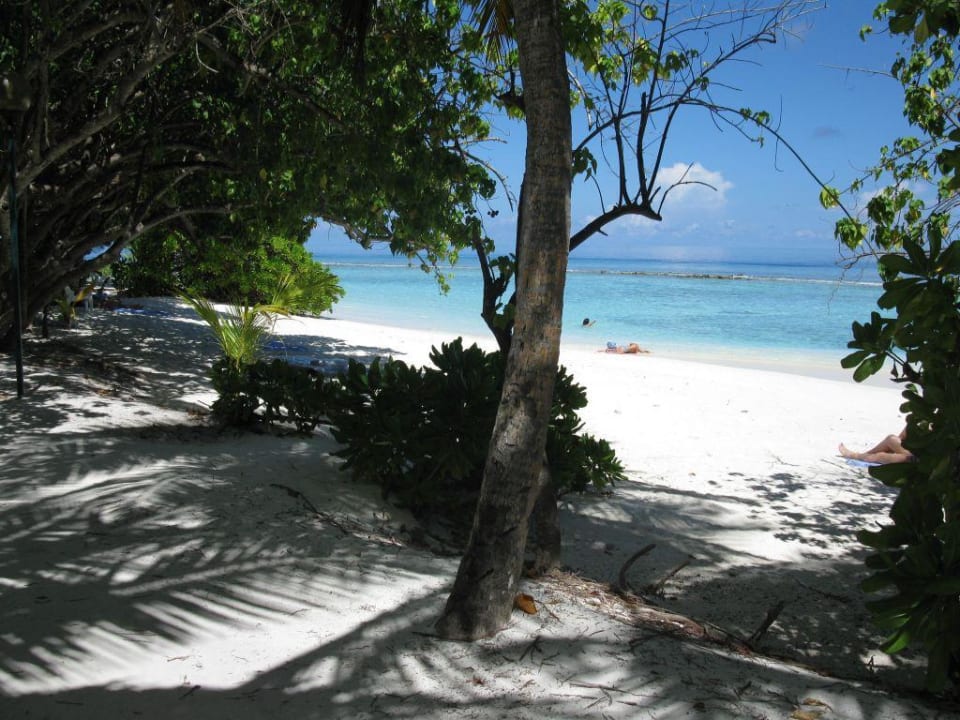 Traumhaft Kuramathi Maldives