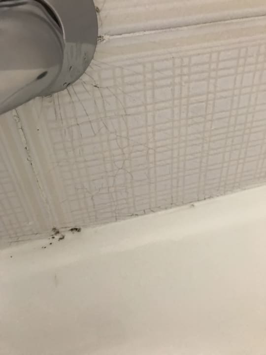 Zimmer Relaxia Olivina