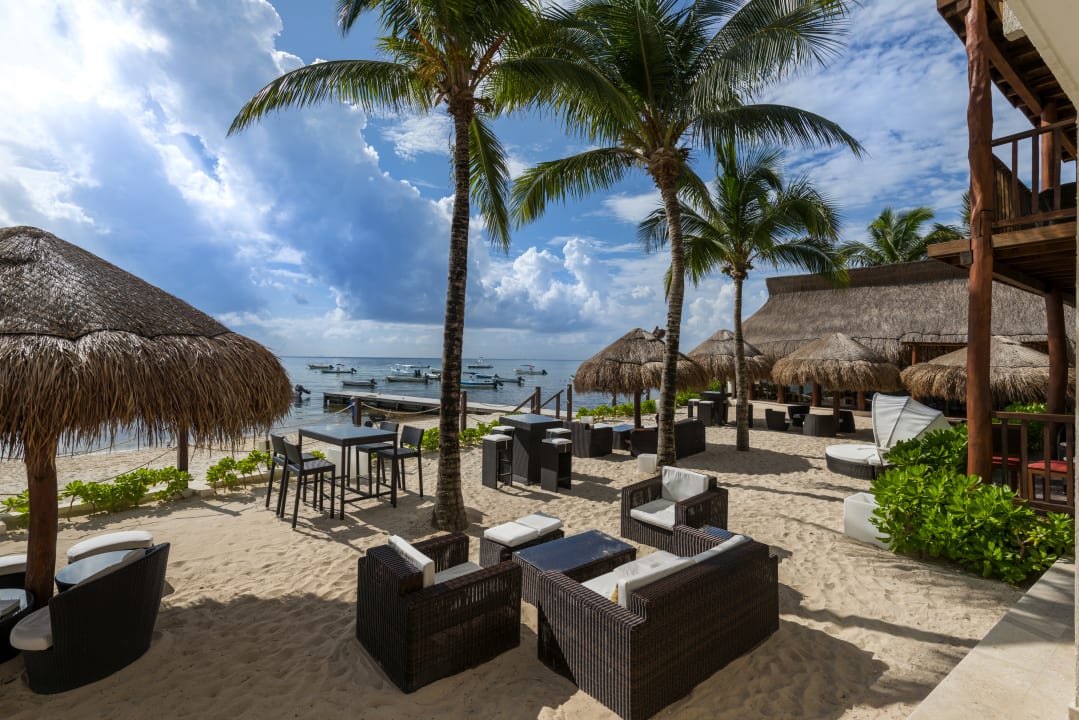 playacar reef playa carmen