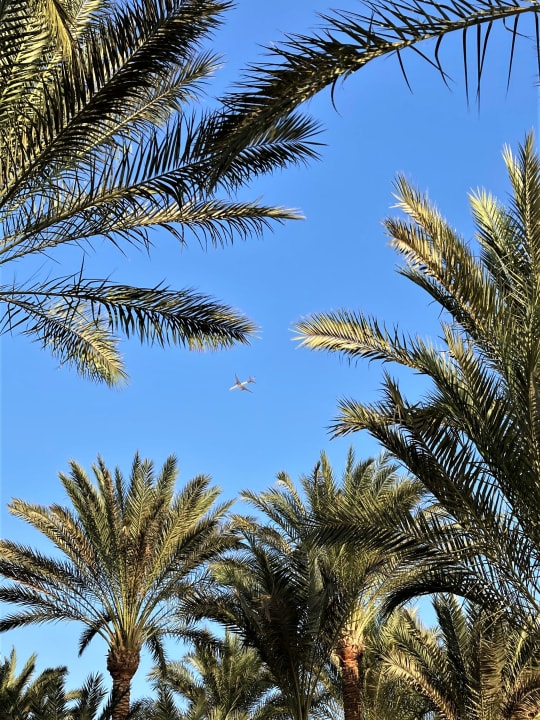 Ausblick Hotel JAZ Makadi Star & Spa
