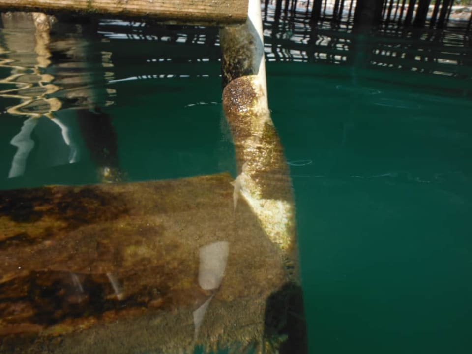 Plaża pomost molo Royal Seginus