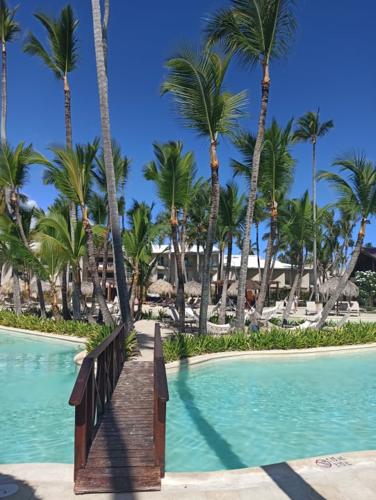 Pool Grand Palladium Hotels - Palace, Bavaro Suites & Punta Cana