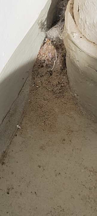 Ausblick Lord Nelson 204