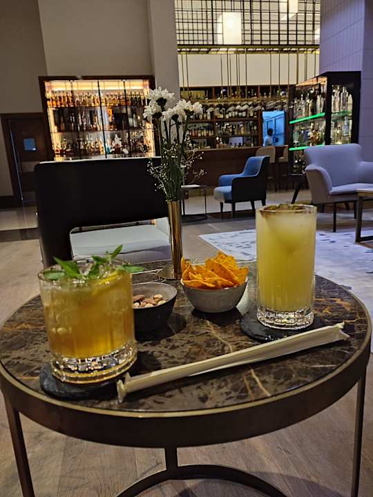 Gastro Acanthus Cennet Barut Collection