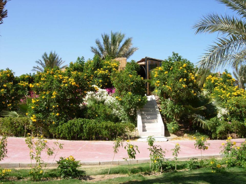  Animationsgebäude Fort Arabesque Resort, Spa & Villas
