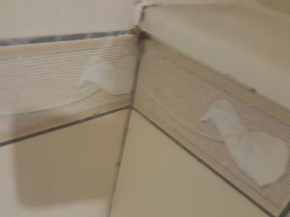 Zimmer Starlight Resort Hotel