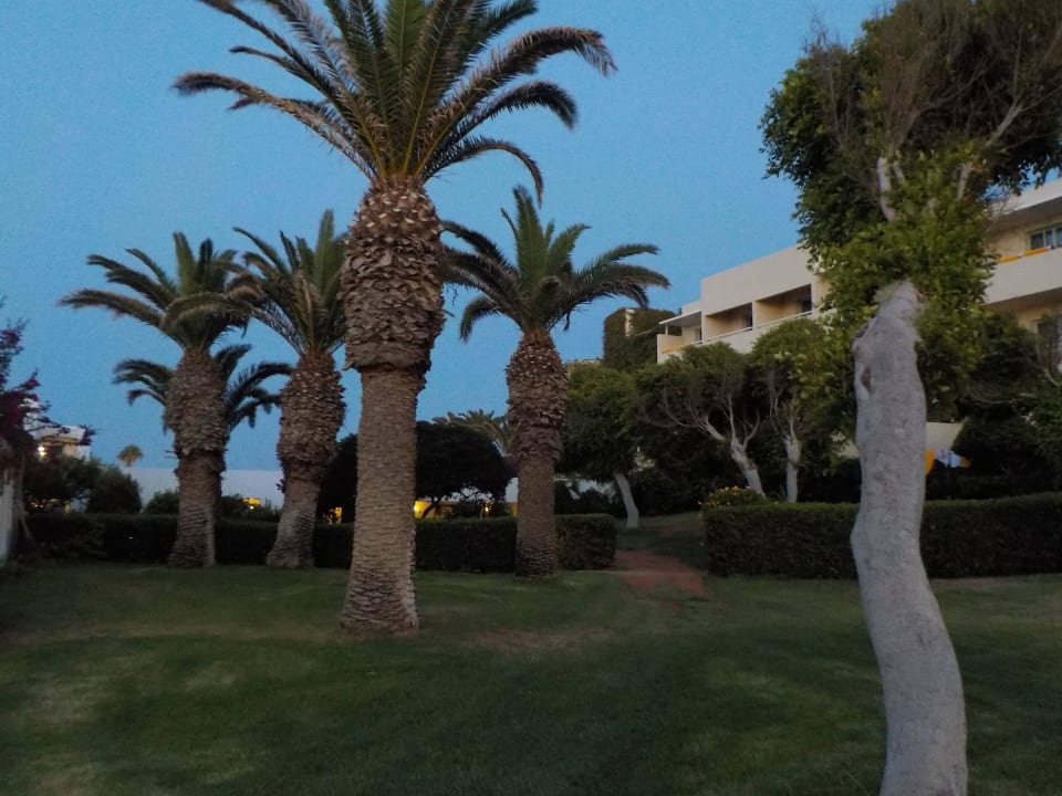 Gatenanlage zwischen den Häusern  Lyttos Beach Hotel