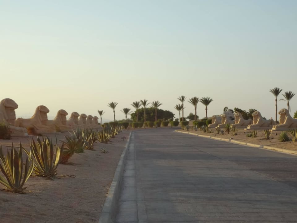 Zufahrt zum Hotel Hotel Sheraton Soma Bay Resort